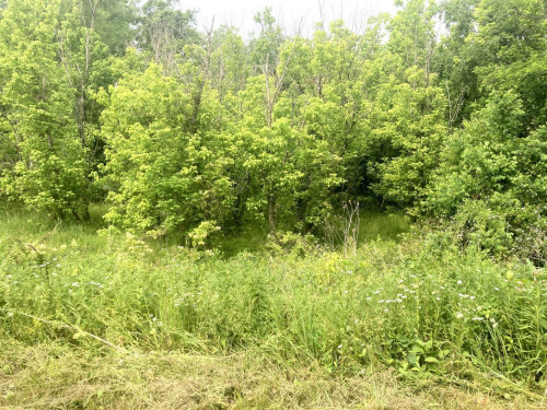 feature listing property photo